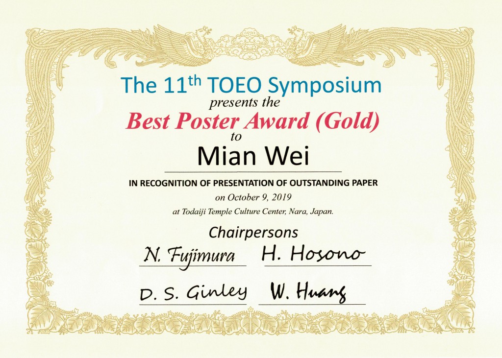 TOEO-11 Wei Gold
